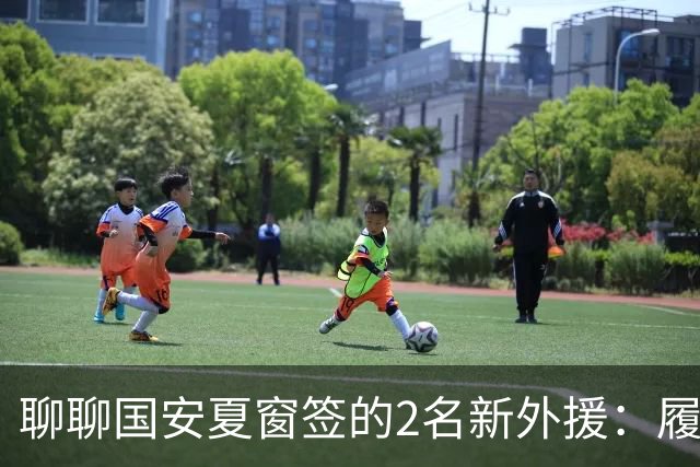 聊聊国安夏窗签的2名新外援：履历很漂亮，但球迷的期望别太高